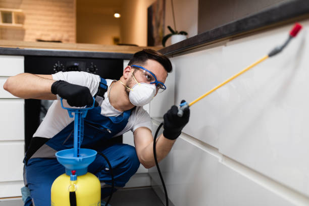 Reliable Grove City, FL Pest Control Solutions