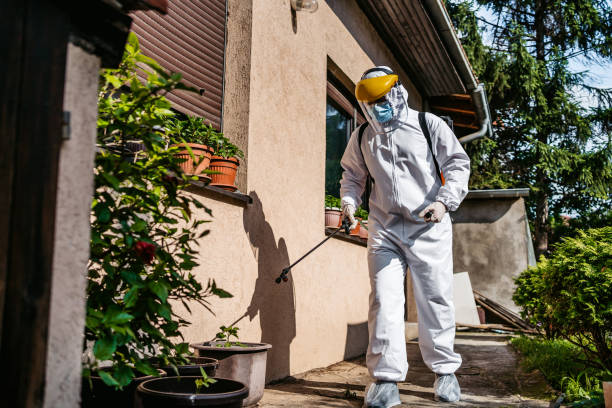 Insect Control in Grove City, FL