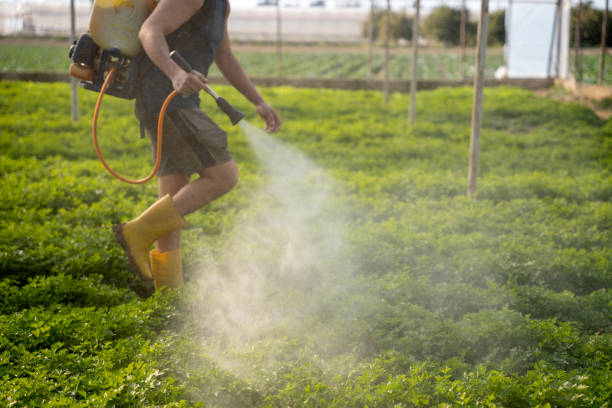 Best Commercial Pest Control Services  in Grove City, FL