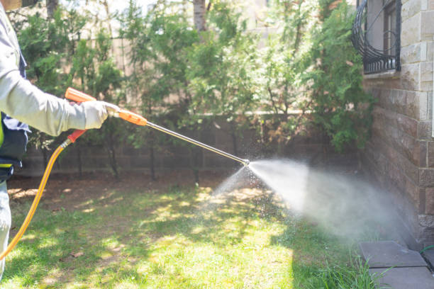 Best Pest Inspection Near Me  in Grove City, FL