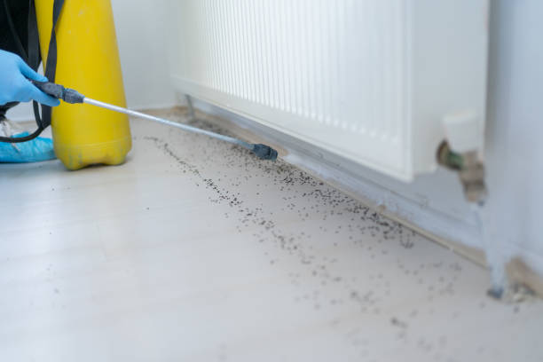 Best Best Pest Control Companies  in Grove City, FL